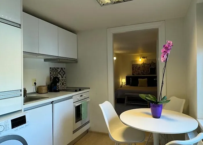 Appartement Elite Spatios Cu 2 Dormitoare - Parcare Gratuita - Wi-fi Rapid -